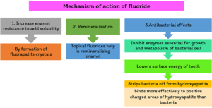 Fluoride Dental Health