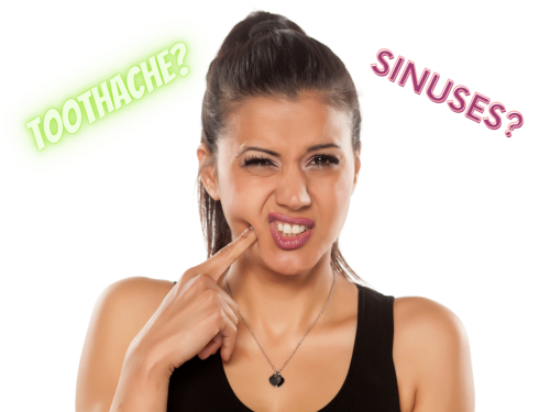 Do You Have Sinus Pressure Or A Toothache